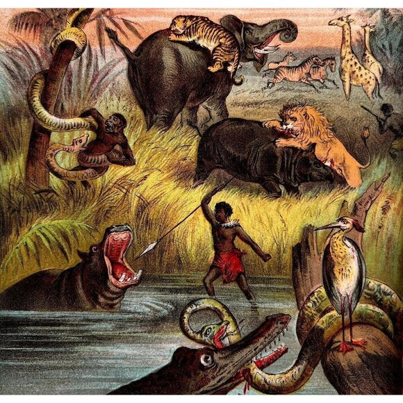 Panorama Of Nature Lithograph 1887 Victorian Animals Art Print Sea Land DWEE19 - Picture 1 of 3